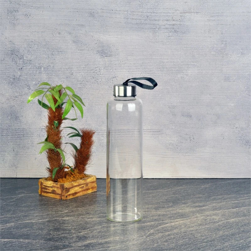 750ml H20 Borosilikat Cam Kılıfsız Cam Matara Promozone