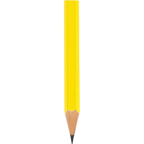 Sarı