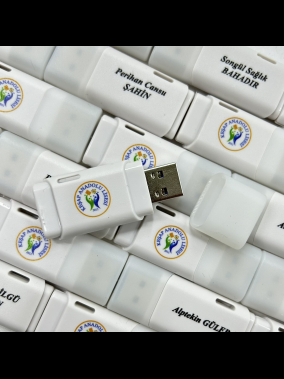 64 GB Plastik USB Bellek