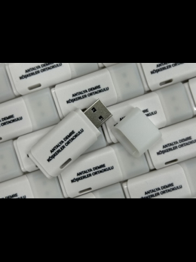 64 GB Plastik USB 3.0 Bellek